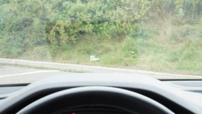 Car Thumbnail